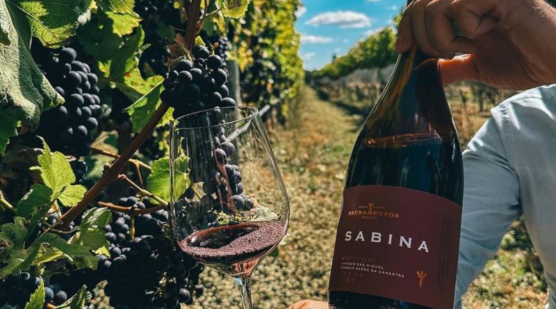 Vinho da Serra da Canastra ganha como melhor tinto brasileiro em concurso internacional