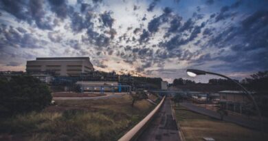 CBMM divulga meta intermediária de redução de emissões e reforça seu compromisso rumo a neutralidade em 2040 